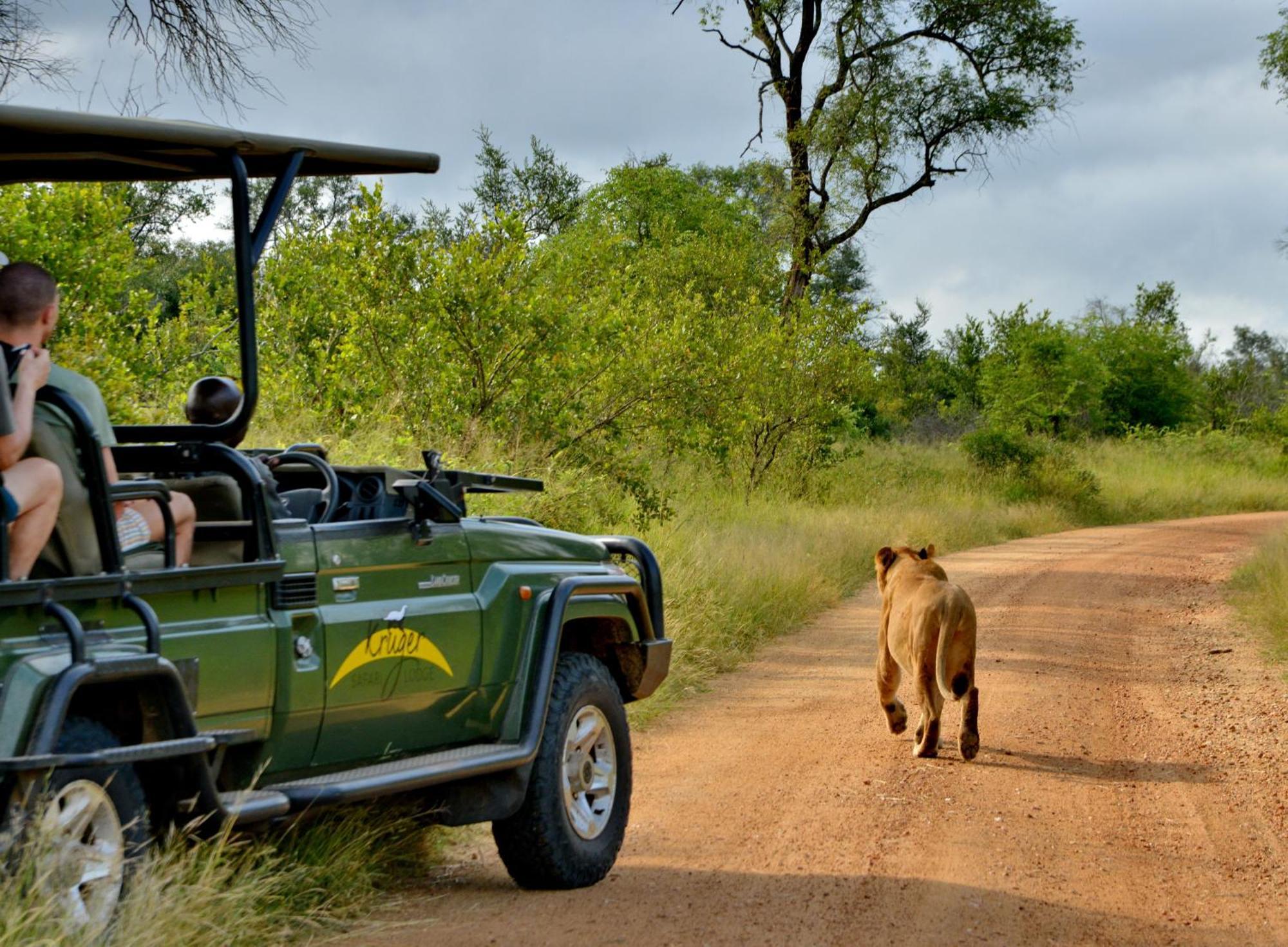 Kruger Safari Lodge Manyeleti Game Reserve Exterior photo