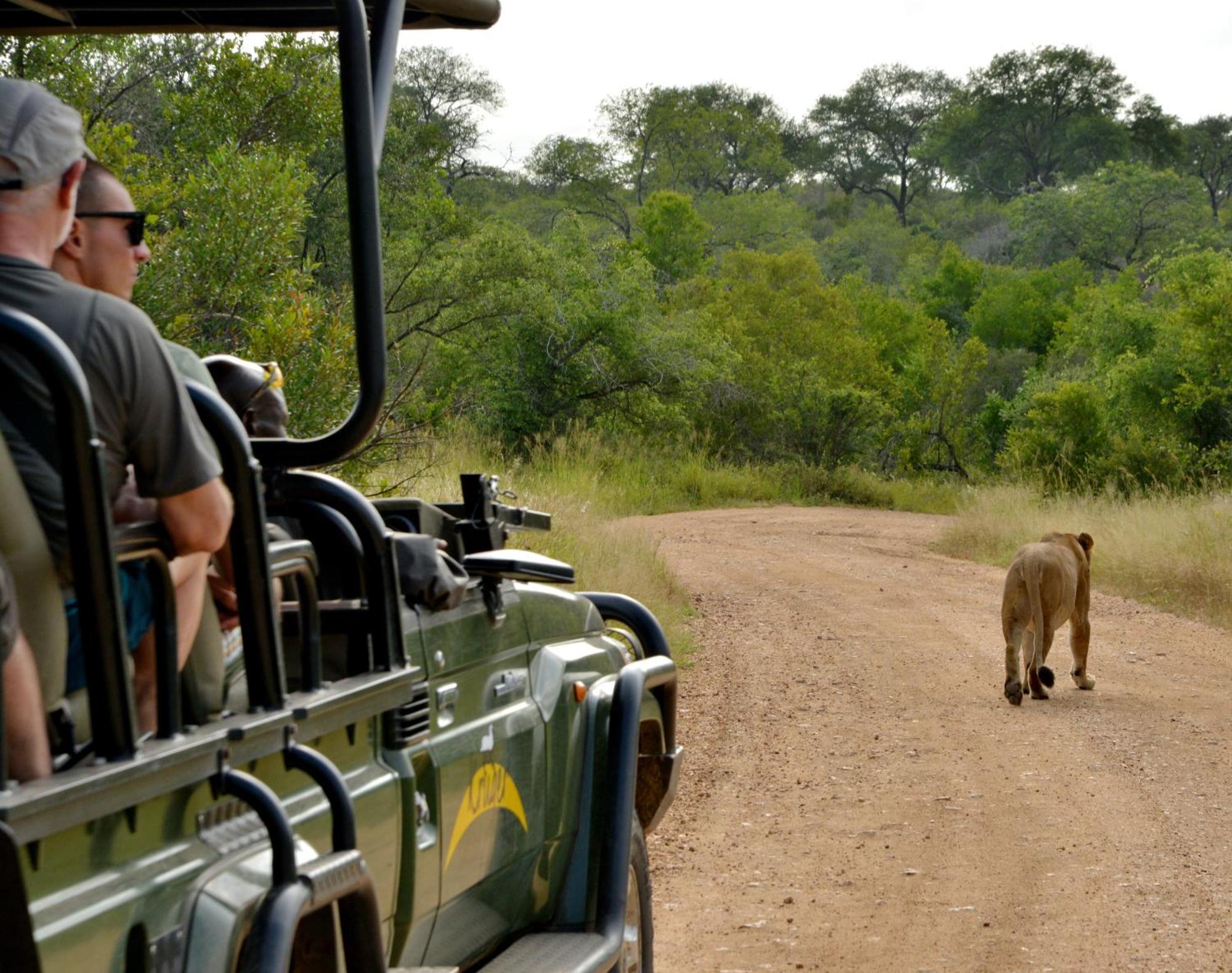 Kruger Safari Lodge Manyeleti Game Reserve Exterior photo